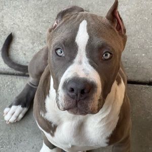 Meet your Posher, Yvette